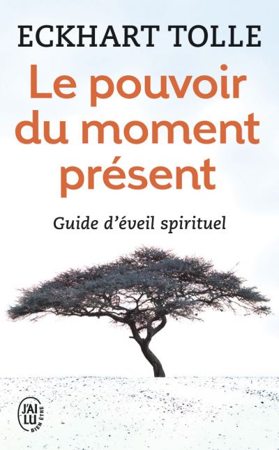 Le pouvoir du moment présent cover